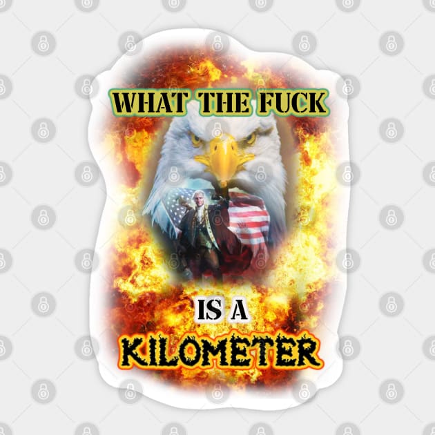 wtf is a kilometer Sticker by InMyMentalEra